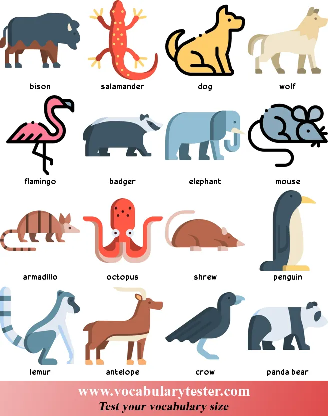 Animals vocabulary picture word list, names, exercises, quiz, meanings